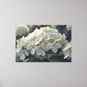 *~* TV2 Moelleux Hydrangea toile étirée Impression