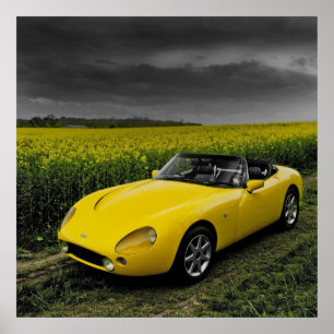 TVR Griffith Print