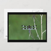 Twaalf-vlek Briefkaart (Voorkant / Achterkant)