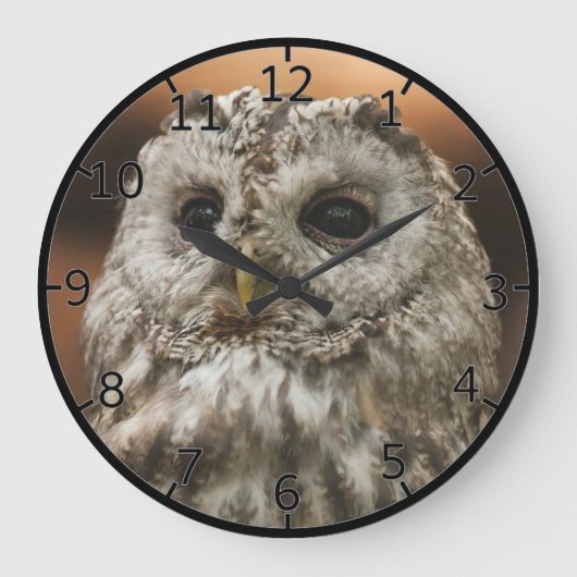 Twany Owl Grote Klok (Voorkant)