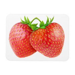 Twee aardbeien magneet