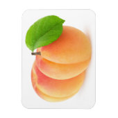 Twee abrikozen magneet (Verticaal)