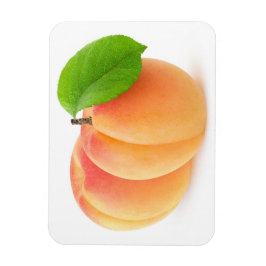 Twee abrikozen magneet