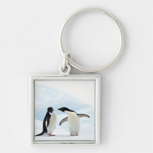 Twee Adelie Penguins die op een ijskap zitten Sleutelhanger