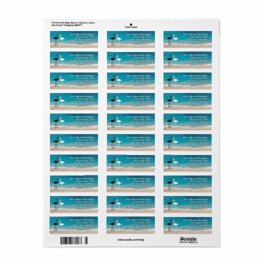 Twee Adresetiketten in de Flamingos Ocean Etiket (Full Sheet)
