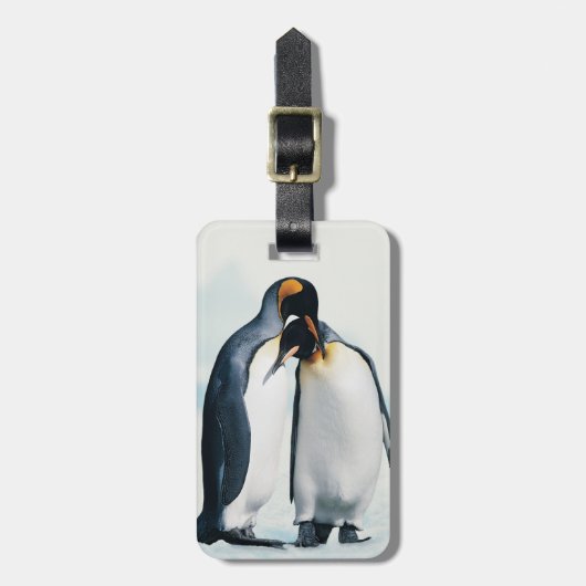 Twee affectionerende pinguïns bagagelabel (Voorkant verticaal)