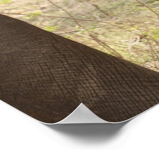 Twee Afrikaanse Struik Olephants (Loxodonta Afrian Poster (Hoek)