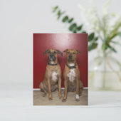 Twee amerikaanse doodsbannen zitten briefkaart (Staand voorkant)