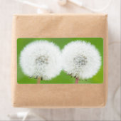 Twee andelions etiket (Insitu)
