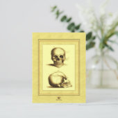 Twee Antiek Skulls Briefkaart (Staand voorkant)