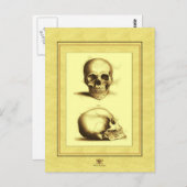 Twee Antiek Skulls Briefkaart (Voorkant / Achterkant)