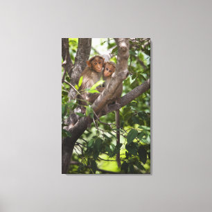 Twee apen in een boom canvas afdruk