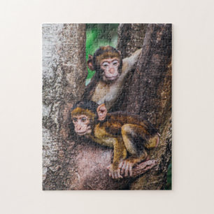 Twee apen in het bos van de boomapen legpuzzel
