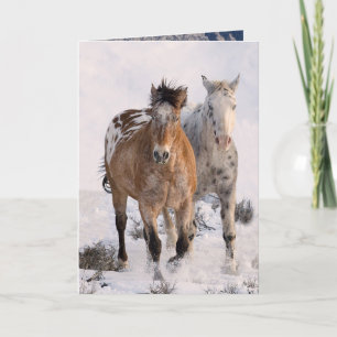 Twee Appaloosa Wenskaart