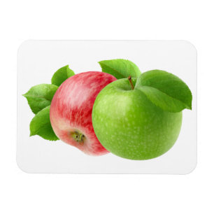 Twee appels magneet