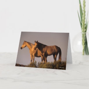 Twee Arabieren die samen het licht van de avond ho Kaart