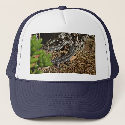 Twee Australische Dragon Lizards, Trucker Pet (Voorkant)