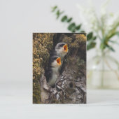 Twee Baby-oversteeksels Briefkaart (Staand voorkant)