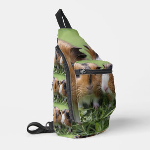 Twee baby schildpad cavia's, sling bag