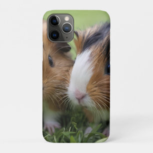 Twee Baby schildpadden cavia's, iPhone 11 Pro Hoesje