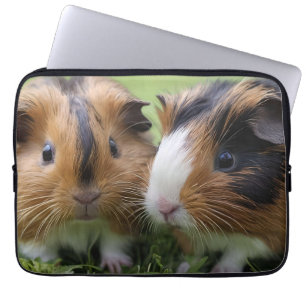 Twee Baby schildpadden cavia's, Laptop Sleeve
