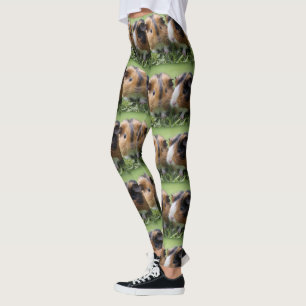 Twee Baby schildpadden cavia's, Leggings