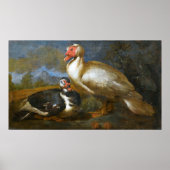 Twee Barbarijse eenden in een landschap Poster (Voorkant)