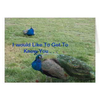 TWEE BEAUTIFUELE PEACOCK'S