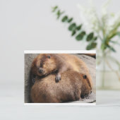 Twee beaver die samen slapen briefkaart (Staand voorkant)