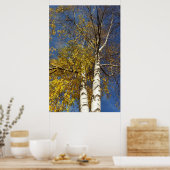 twee berkenbomen poster (Keuken)