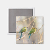 Twee bijeneters magneet (Voorkant / Achterkant)