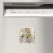Twee bijeneters magneet (Insitu (Vaatwasser))