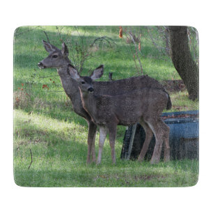 Twee Blacktail Deer Glass Cutting Board Snijplank