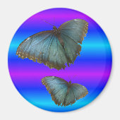 Twee blauwe Morpho Vlinders Blauwe Neon Magnet Magneet (Voorkant)