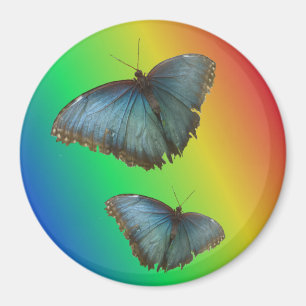 Twee blauwe Morpho Vlinders Regenboogmagneet Magneet