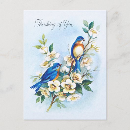 Twee blauwvogels briefkaart (Voorkant)