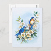 Twee blauwvogels briefkaart (Voorkant / Achterkant)