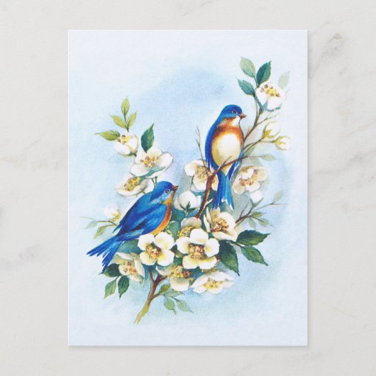 Twee blauwvogels briefkaart (Voorkant)