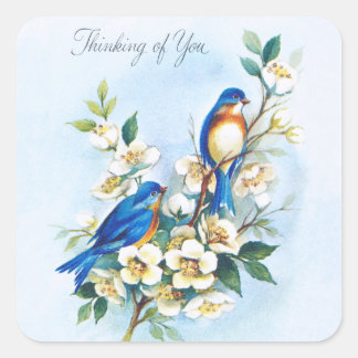 Twee blauwvogels vierkante sticker