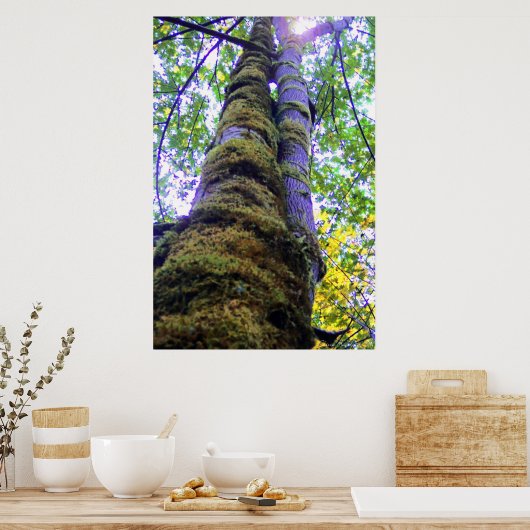 Twee bomen poster (Keuken)