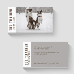 Twee Border Collies Dog Trainer Visitekaartje