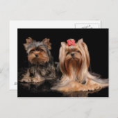 Twee Briefkaart (Voorkant / Achterkant)