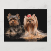 Twee Briefkaart (Voorkant)