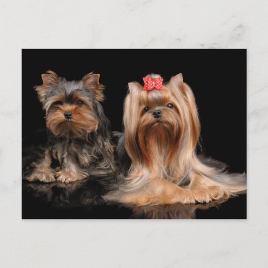 Twee Briefkaart (Voorkant)