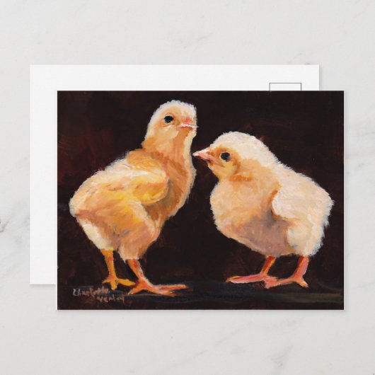 Twee Briefkaarten tegen vogelpest (Voorkant / Achterkant)