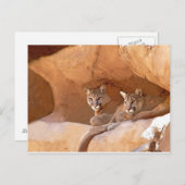 Twee briefkaarten voor bergen (Voorkant / Achterkant)