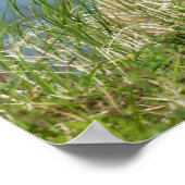 Twee bruine Beren kubussen met moeder door het wat Poster (Hoek)