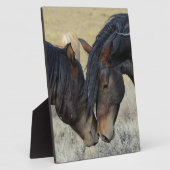 Twee bruine wilde paarden fotoplaat (Zijkant)