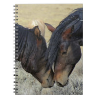 Twee bruine wilde paarden