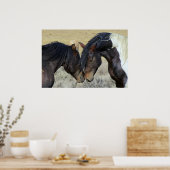 Twee bruine wilde paarden poster (Keuken)